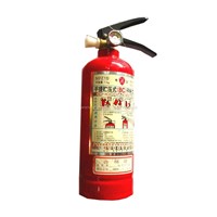 Dry power fire extinguisher