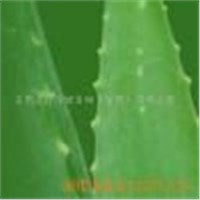World Best Aloe Vera Extract