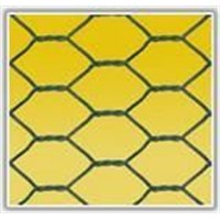 Hexagonal Wire Mesh