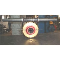 Worm Shaft and worm gear