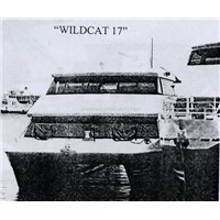 Wild Cat 17