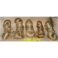 Raw Jute