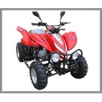 ATV 300 cc Raptor Style with EEC