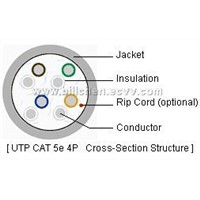 UTP Cat 5e Cable
