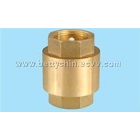 brass check spring strainer valves