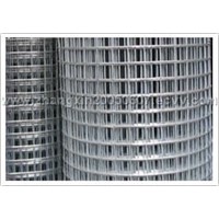 Welded Wire Mesh