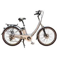electric bicycles