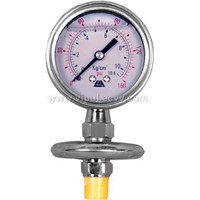 pressure gauge