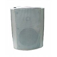 wall speaker