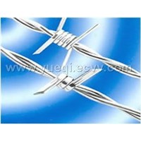 Barbed Wires