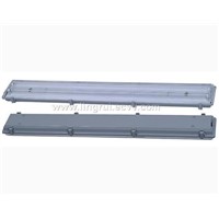2X36 (40) W, 2X58(60)W IP65 Weatherproof Fixture