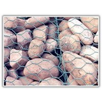 Gabion baskets