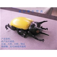 Control from a distance the beetle