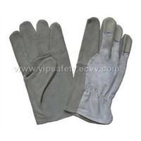 Driver Gloves(1)