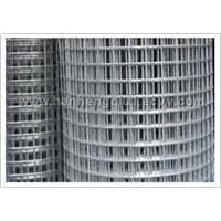 Welded Wire Mesh