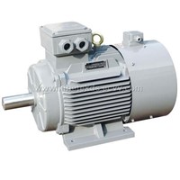 Hoist Motor