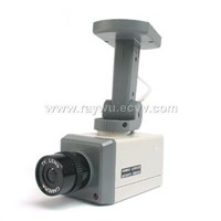 Simulated Security Camera