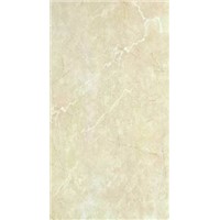 ceramic wall tile