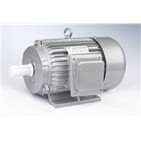 Y SERIES MOTOR