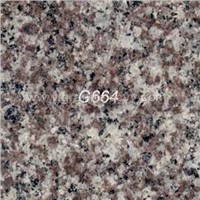 Granite Tiles (G664)