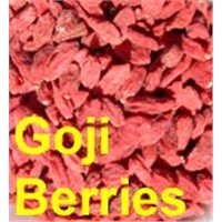 organic wolfberry, goji berry