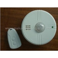 motion detector