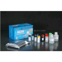 QNS (Enrofolxacin, Ciprofloxacin, Norfloxacin, Kfloxacin, Lomefloxacin) ELISA kit