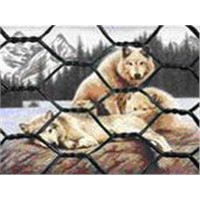 Hexagonal Netting