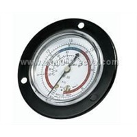 pressure gauge,manifold