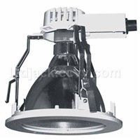Downlight Fixture