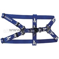 leashes