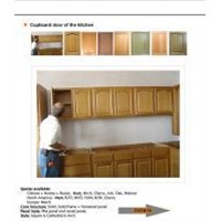 Cabinet Door