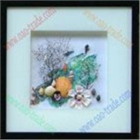 OAO-TSS-010 Picture Frame