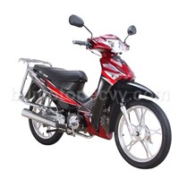 EEC EPA DOT Motorcycle (BD100-11A-III)