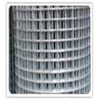 Welded wire mesh