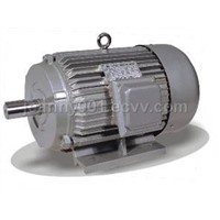 Y series three phase induction electric motor