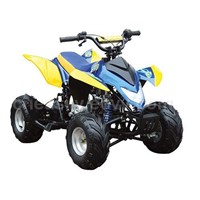 110CC EPA ATV (YS110)