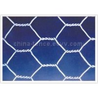 Hexagonal Wire Netting (WN01)