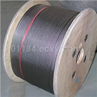 Stainless Steel Wire Rope
