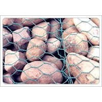 Gabion Mesh