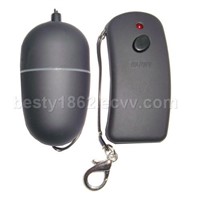 RT02011remote controlled vibrating egg