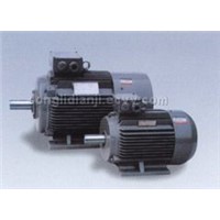 Y2 series three phase induction motor