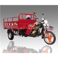 Cargo tricycle/auto rickshaw/three wheeler