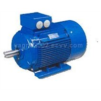 Y2 series medium-scale high voltage three-phase asynchronous electric motor (6KV)