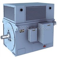 Y series large-scale high voltage three-phase asynchronous electric motor (6KV 10KV)