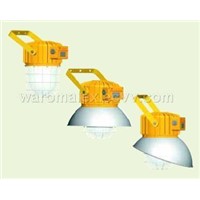 Explosion-proof light fittings