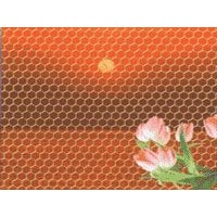 hexagonal wire mesh