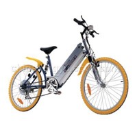 Electric Bike (TDH03ZA CE)