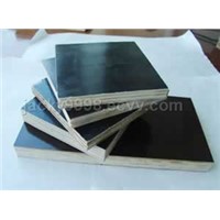 Poplar Film Faced Plywood