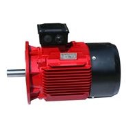 y series Three Phase Induction Motor